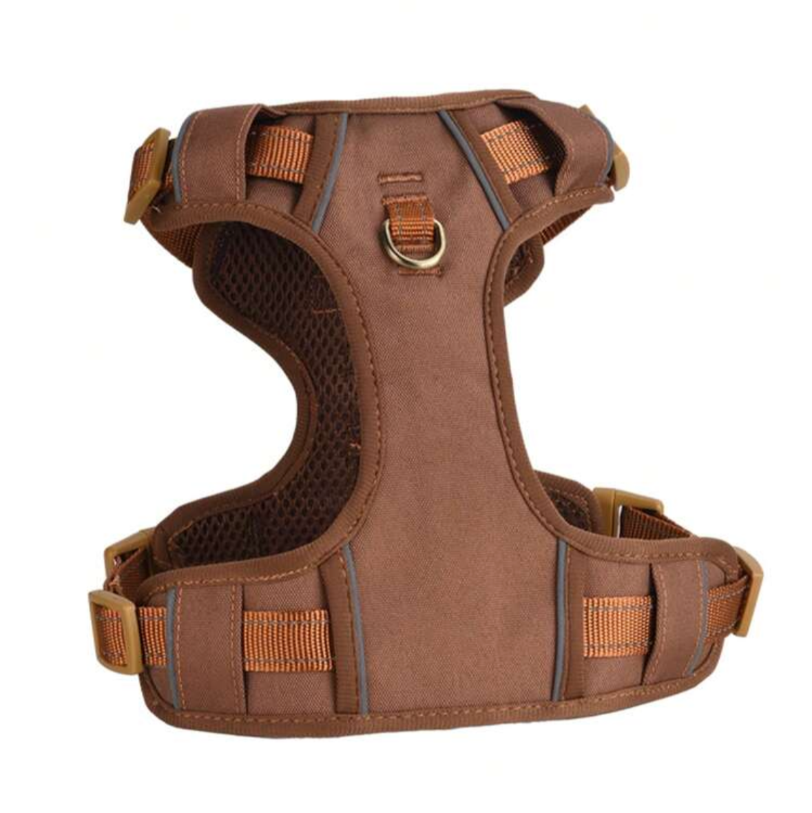 Brown dog harness on a white background