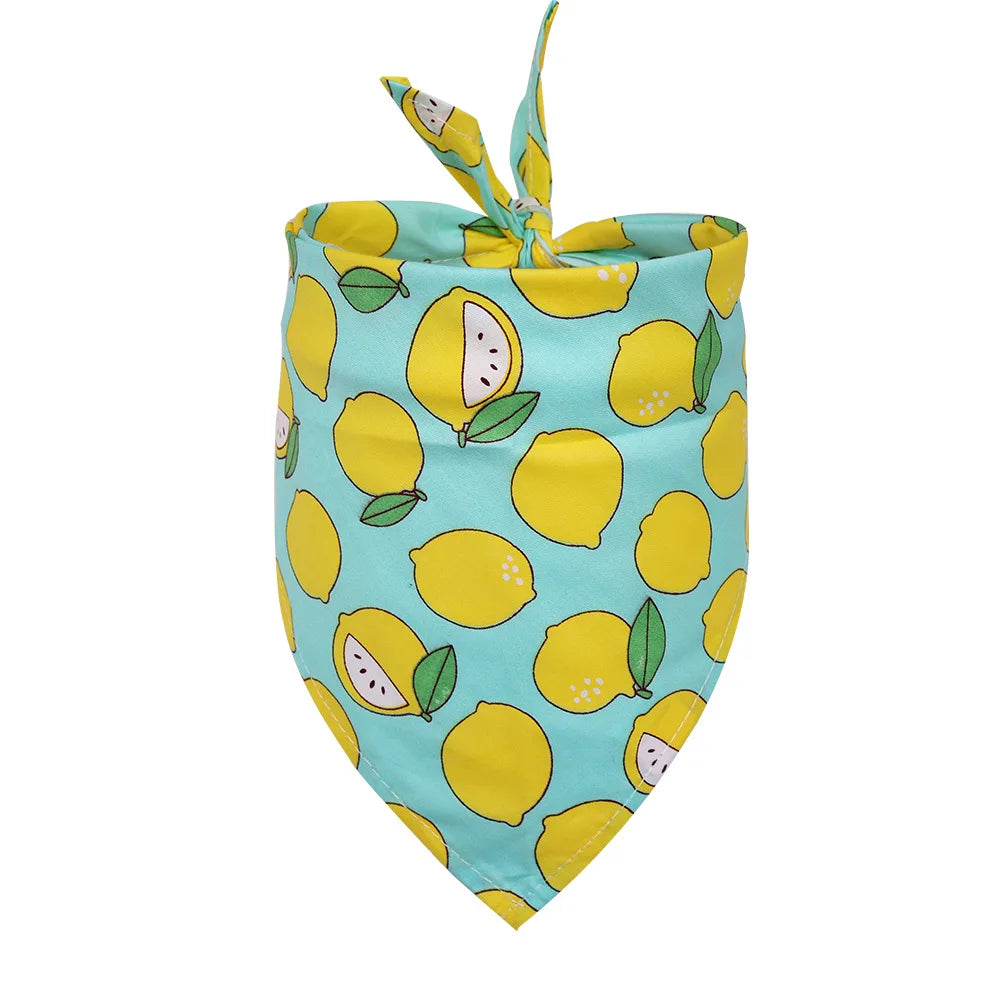 Fruit Style Bandana