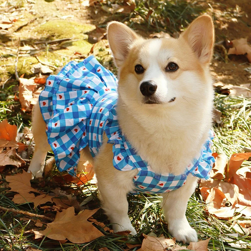 Pet Princess Dress