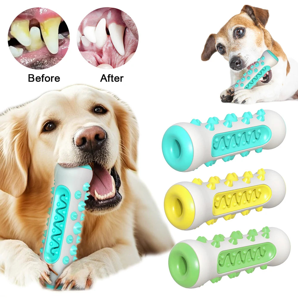 Chew Dog Toothbrush