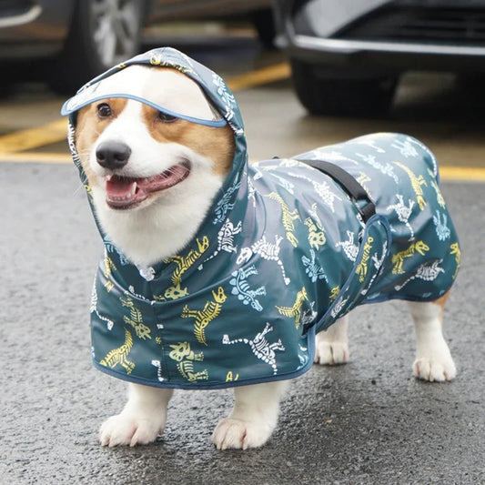 Dog Raincoat