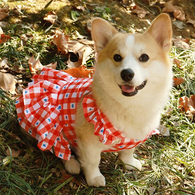 Pet Princess Dress
