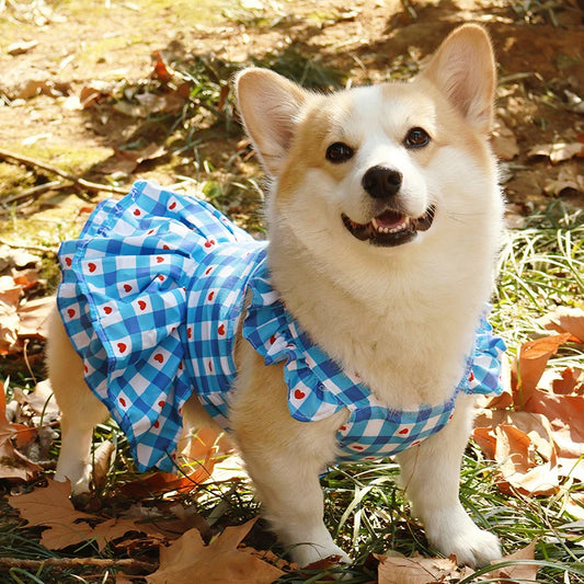 Pet Princess Dress