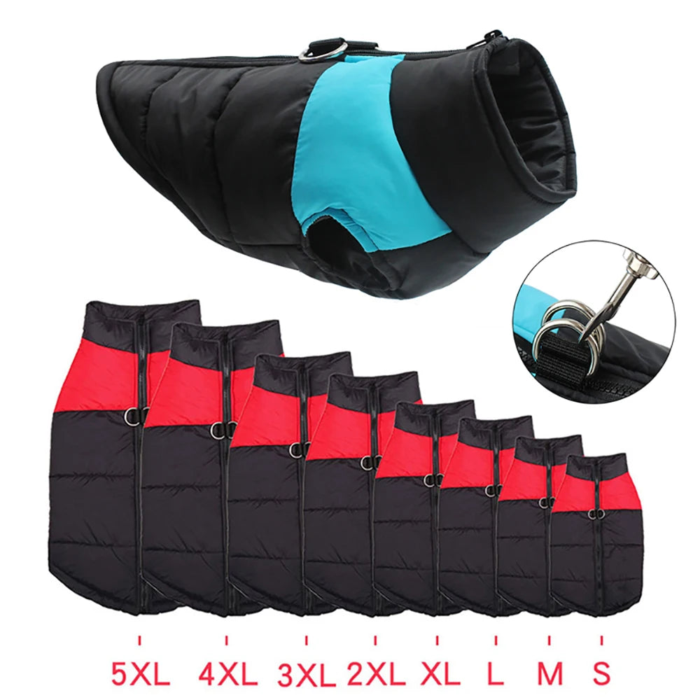 Dog Jacket