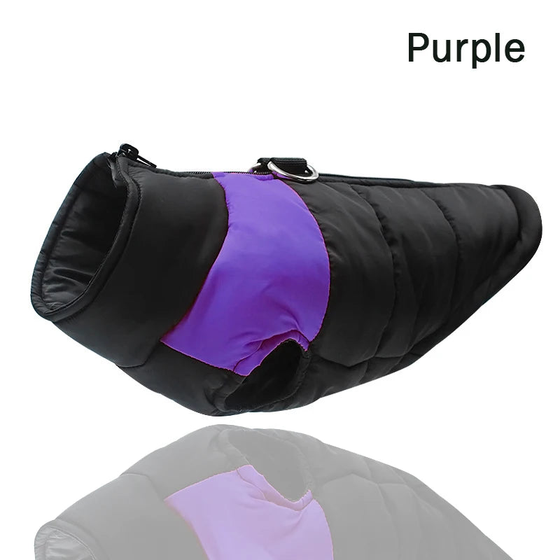 Dog Jacket