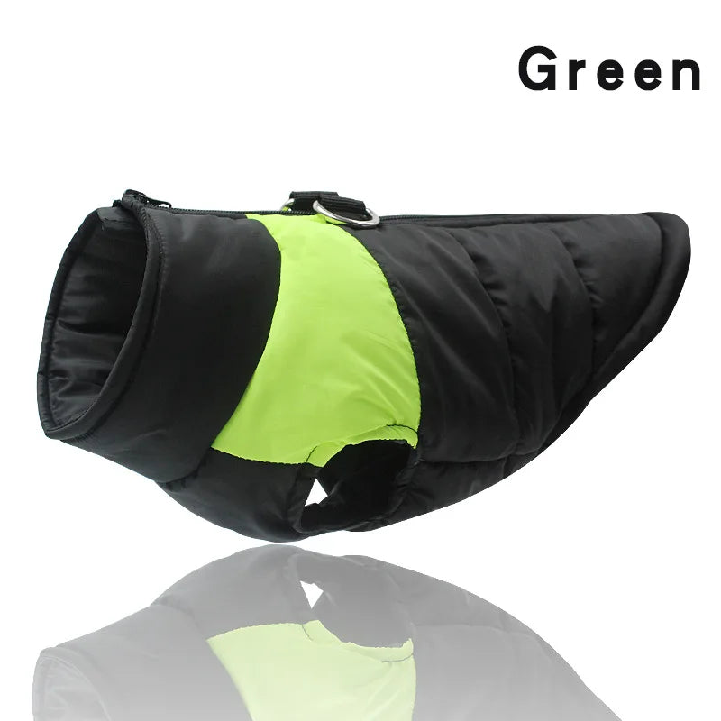 Dog Jacket