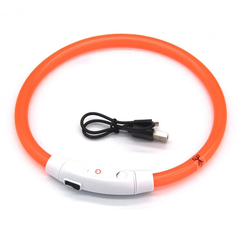 Dog LED Collar