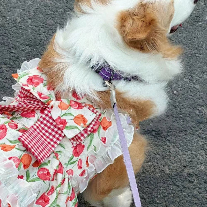 Summer Floral Pink Dog Dress