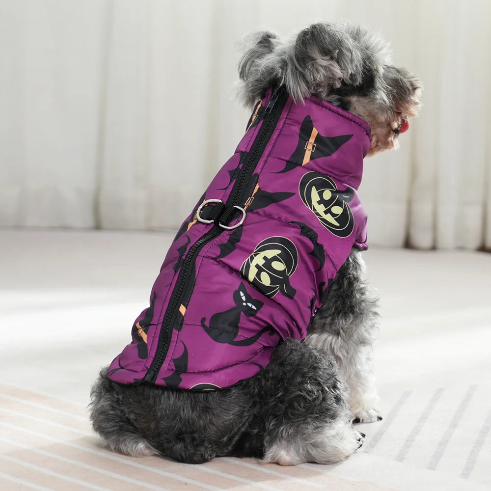 Halloween Dog Jacket