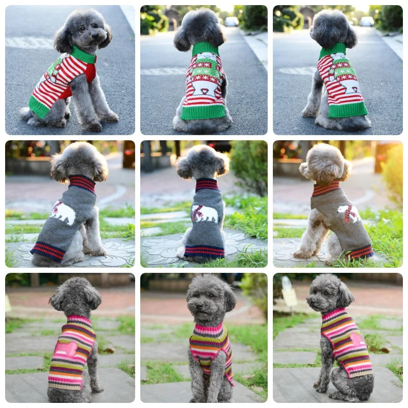 Pet Sweater
