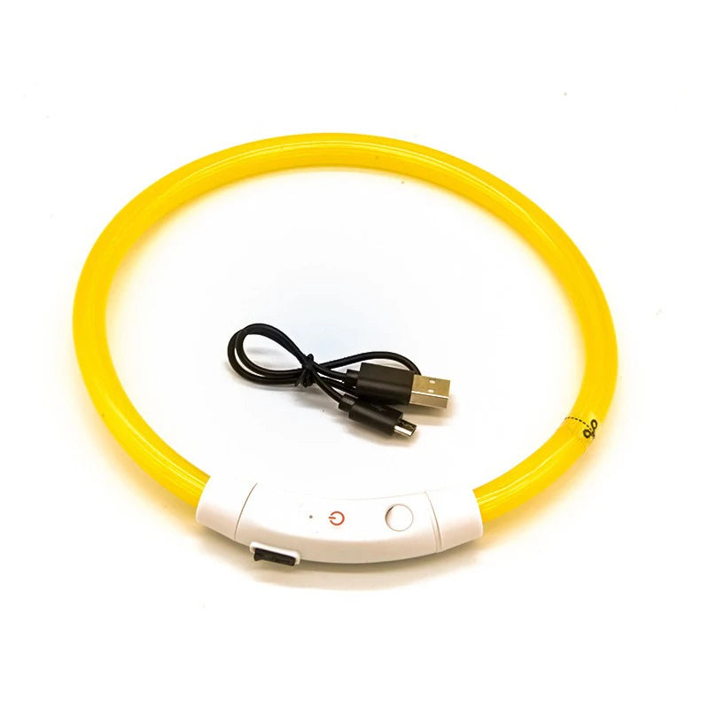 Dog LED Collar