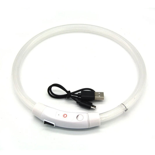 Dog LED Collar