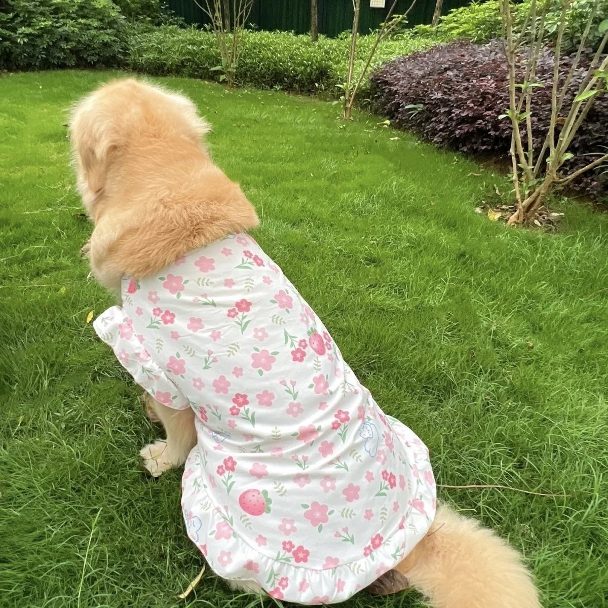 Summer Large Dog Dresses