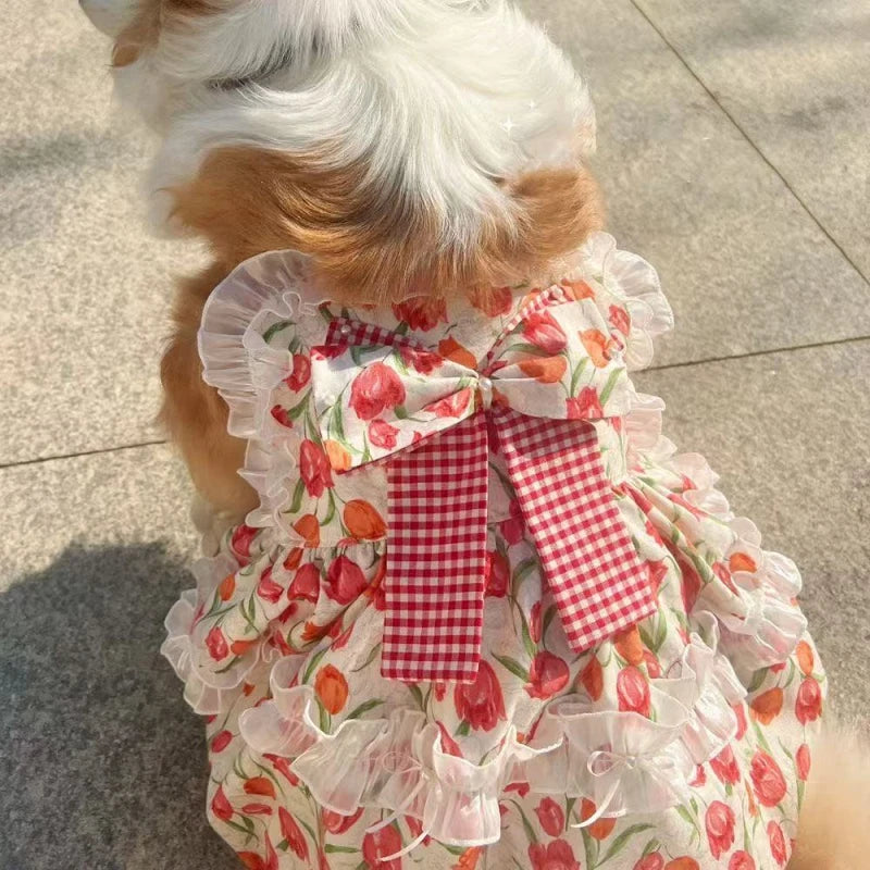 Summer Floral Pink Dog Dress