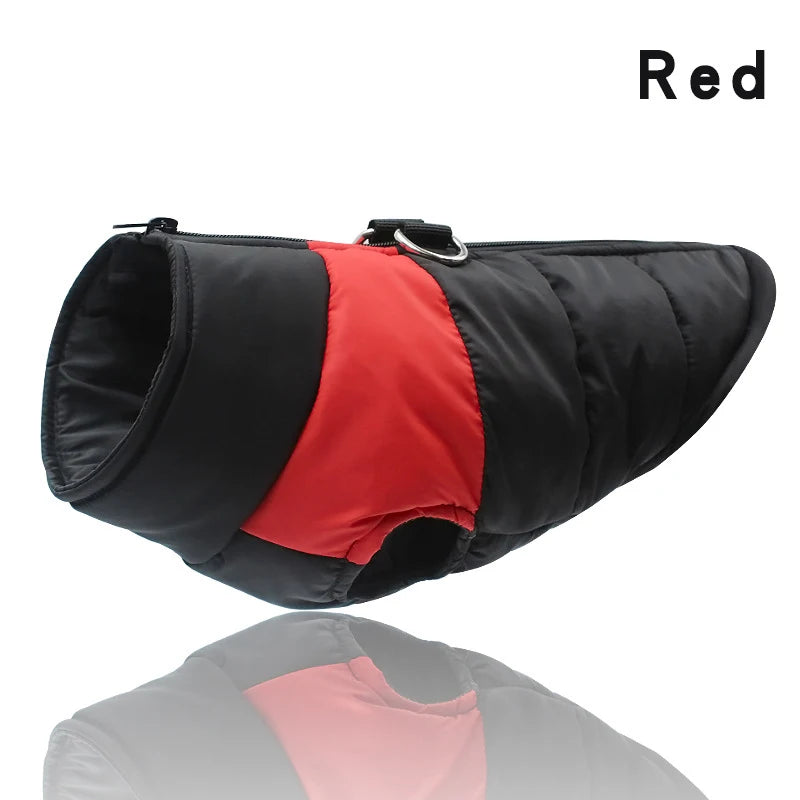 Dog Jacket
